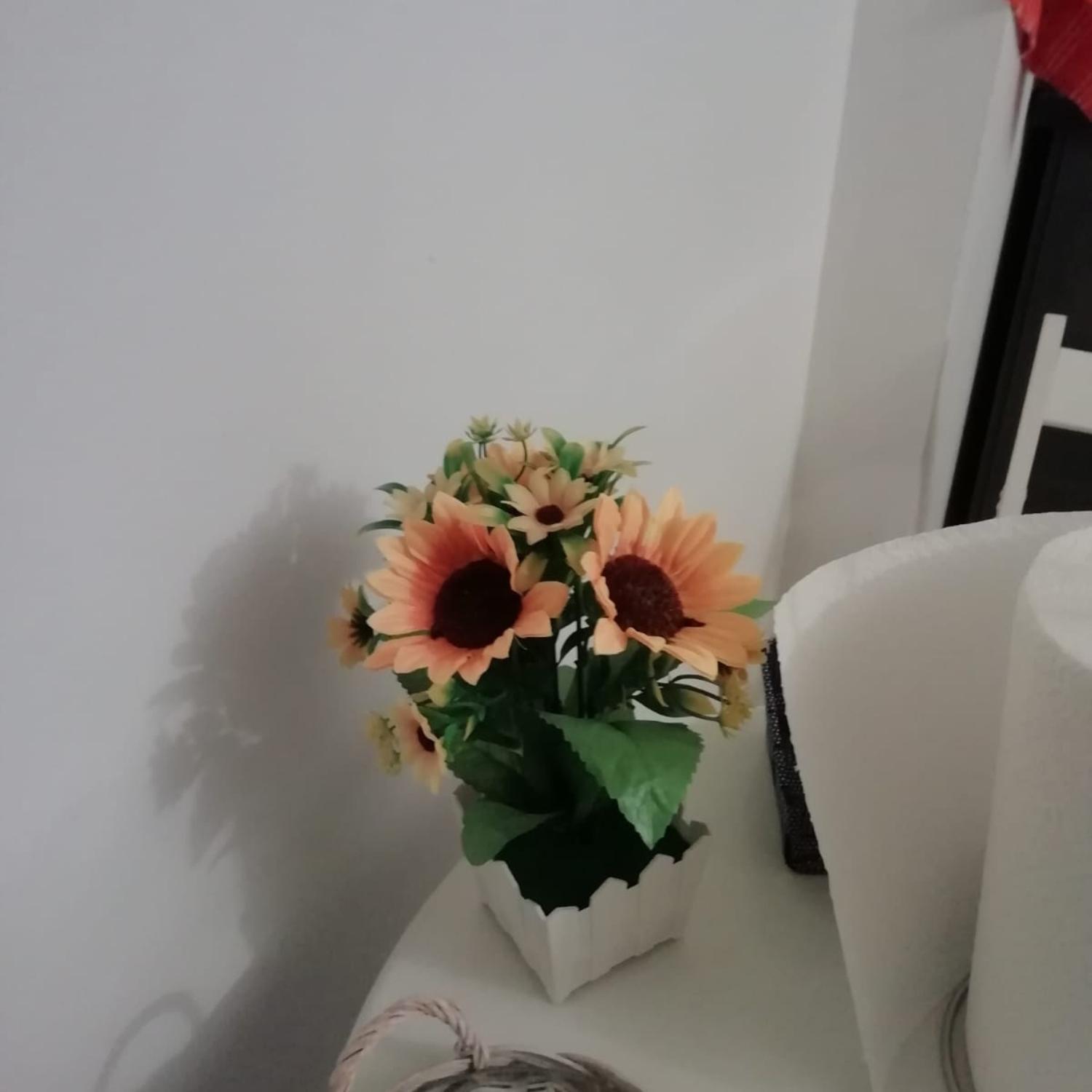 Affection Holiday home Bologna